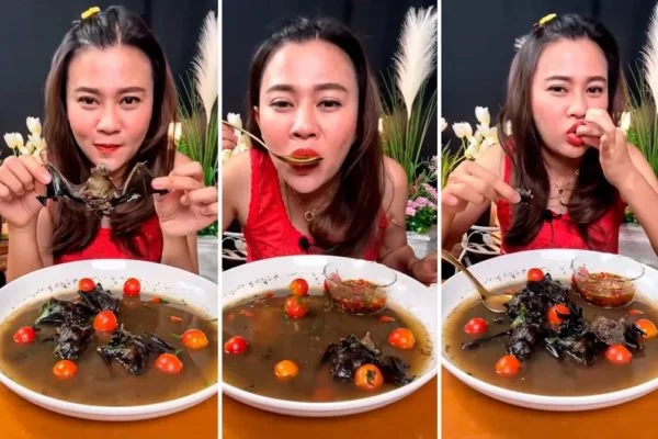 Influenciadora é presa após comer sopa de morcegos na Tailândia