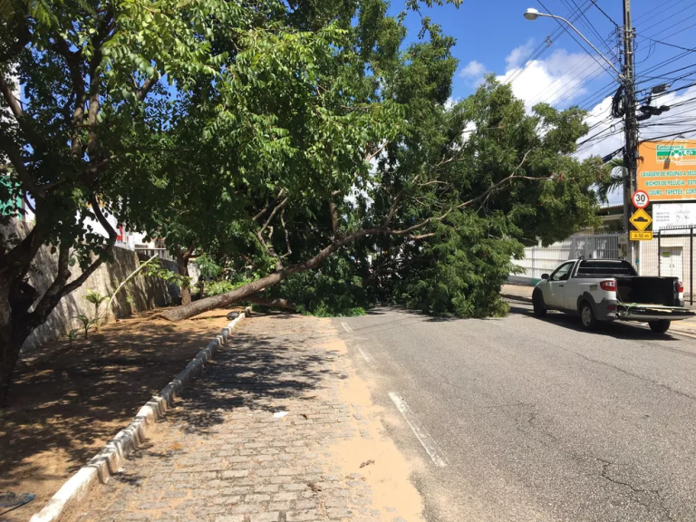 Quedas de galhos de árvores e ventania causaram problemas na rede elétrica de bairros em Natal, diz Cosern