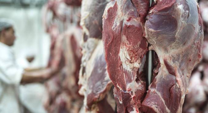 Rara em humanos, ‘doença da vaca louca’ é transmitida por carne contaminada