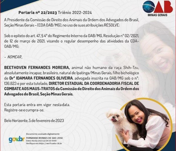 OAB-MG nomeia cachorro como diretor da Comissão de Direito dos Animais