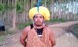 Mais de 40 fazendas são invadidas por falsos indígenas no sul da Bahia