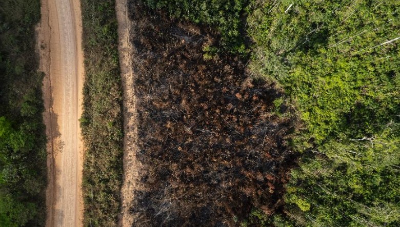 Desmatamento na Amazônia e no Cerrado bate recorde para fevereiro em 2023, diz Inpe
