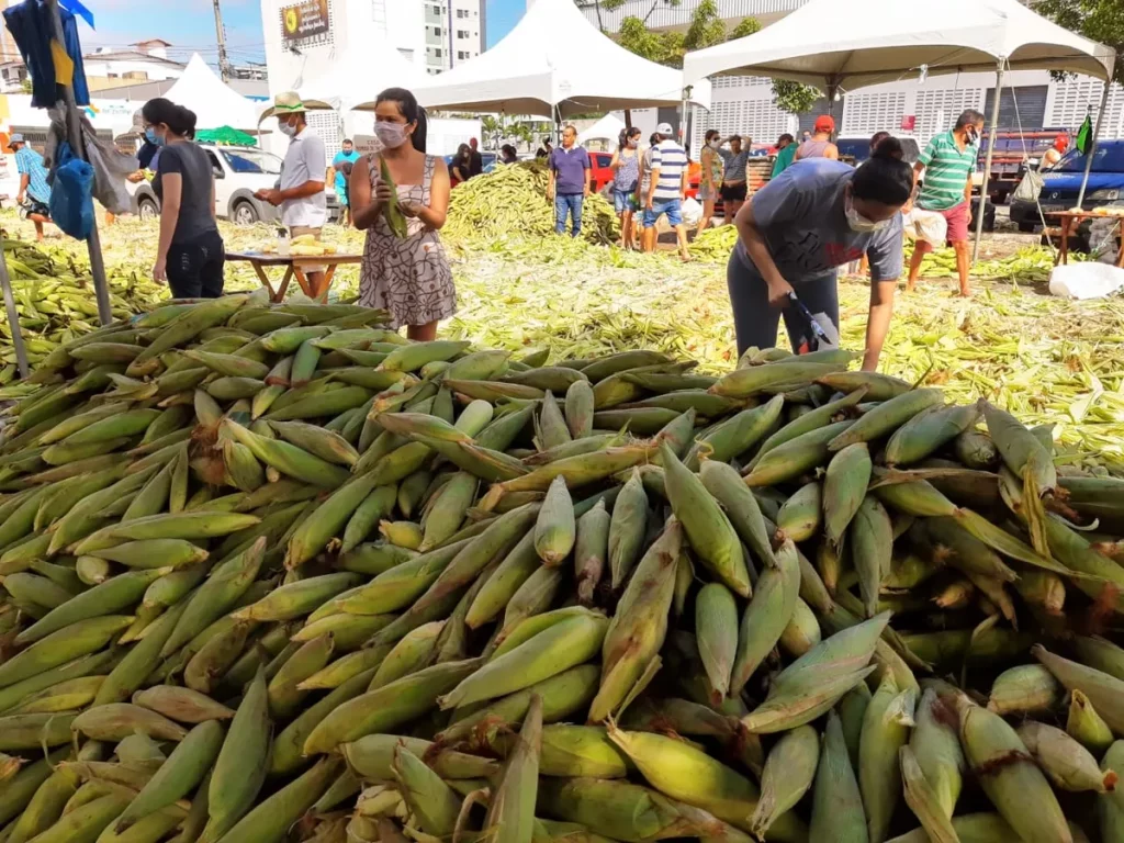 Governo do RN estima movimentação de mais de R$ 1,5 milhão com Feira do Milho