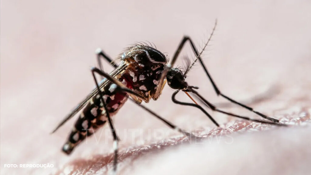 Cresce os casos de dengue e a procura por unidades básicas de saúde na capital potiguar