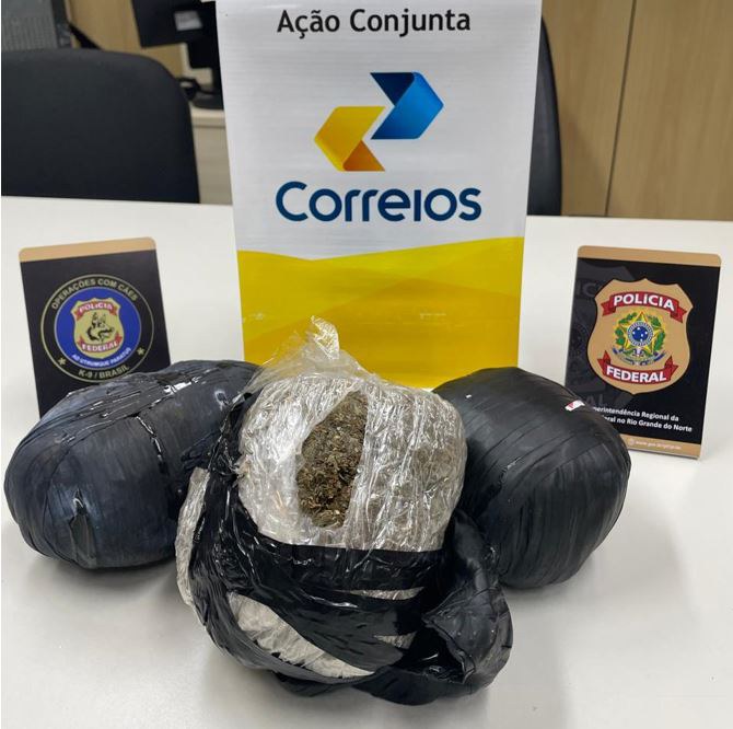 PF apreende maconha enviada para o no RN dentro de caixa de som