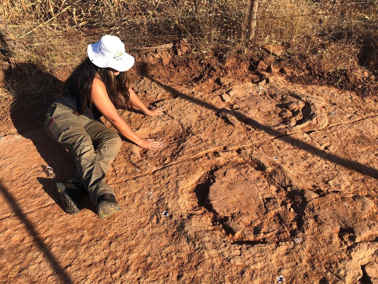Cientistas do RN descobrem novas pegadas de dinossauros próximas ao município de Sousa