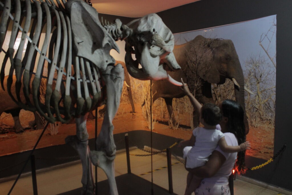 Museu Câmara Cascudo lança programação da Semana Nacional de Museus