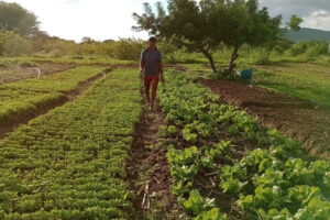 Rio Grande do Norte é o segundo estado do país que mais executou projetos produtivos do Fomento Rural