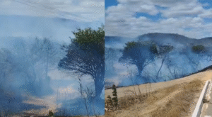 Incêndio em Frutuoso Gomes mobiliza forças de combate e ameaça estruturas públicas