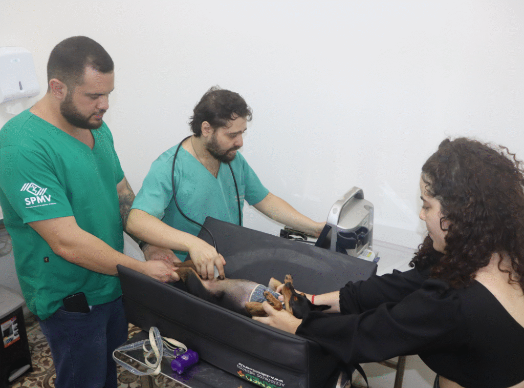 Hospital Municipal Veterinário de Natal celebra um ano como referência no cuidado animal gratuito