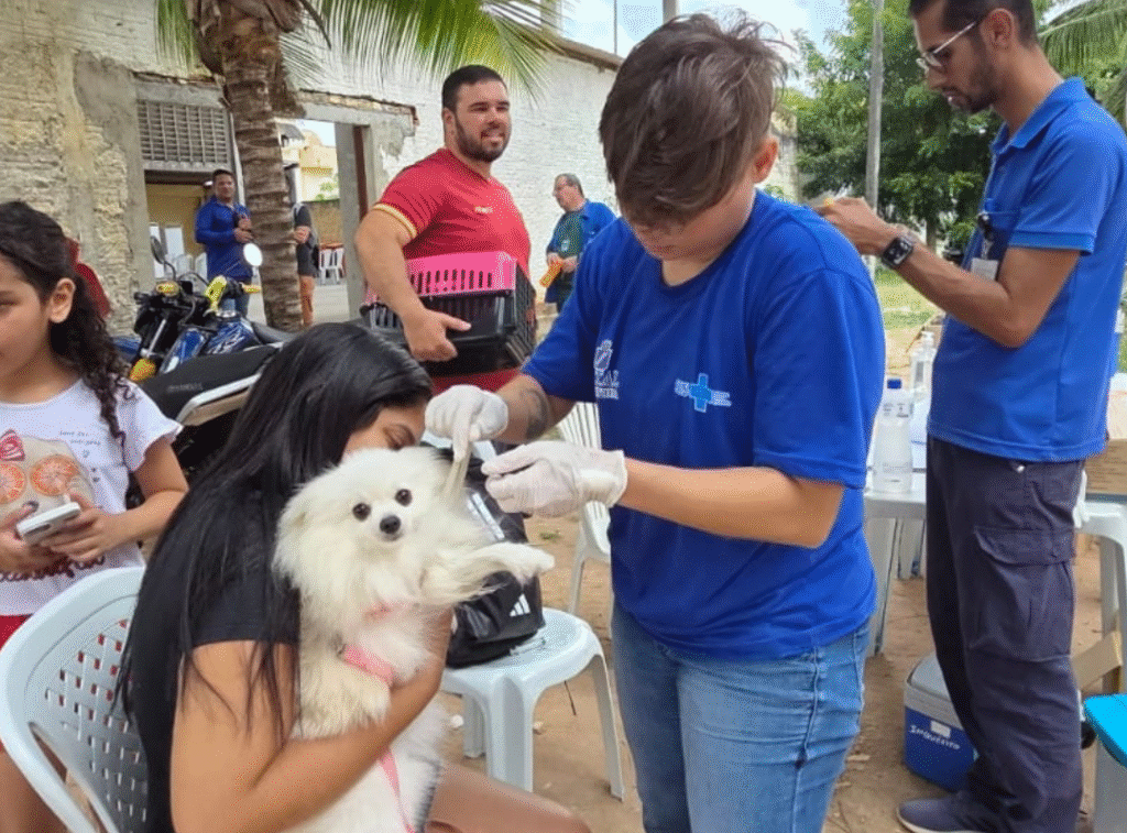 Natal prorroga Campanha Antirrábica e reforça estratégias para alcançar meta de vacinação