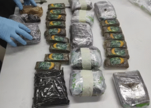 Cão farejador da PF encontra 6 kg de haxixe em mala no Aeroporto de Natal; mulher é presa